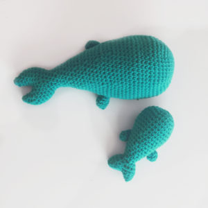 chouette-kit-baleine-turquoise-1000