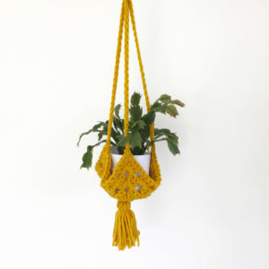 suspension-plante-1000