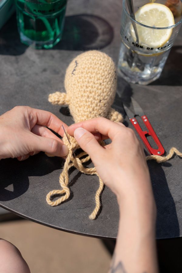 Kit Starter - Kit pour apprendre les bases du crochet - Niveau débutant